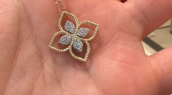 سلسال روبرتو كوين Roberto Coin