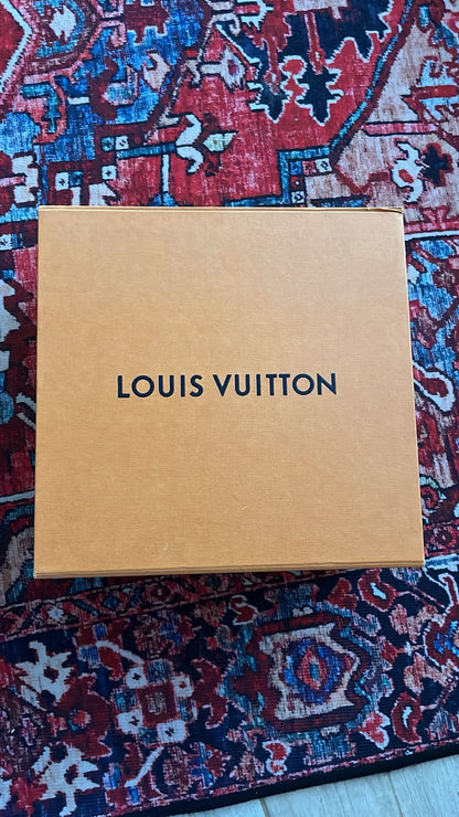 Louis Vuitton Bag Used