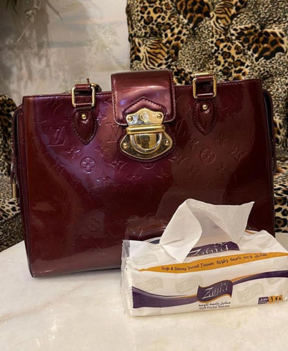 Louis Vuitton Bag Used