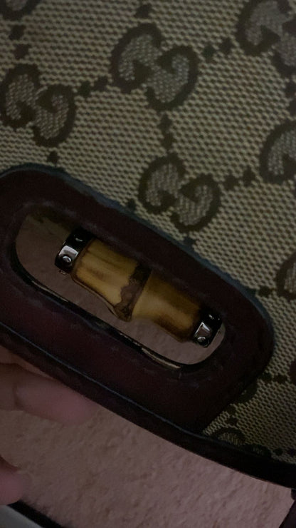 Gucci Bag Used
