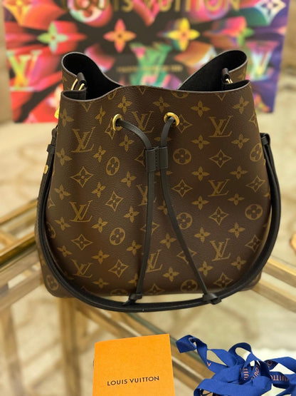 Louis Vuitton Bag Used