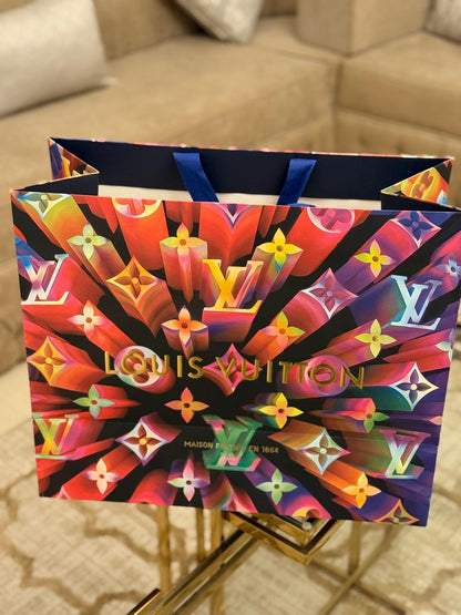 Louis Vuitton Bag Used