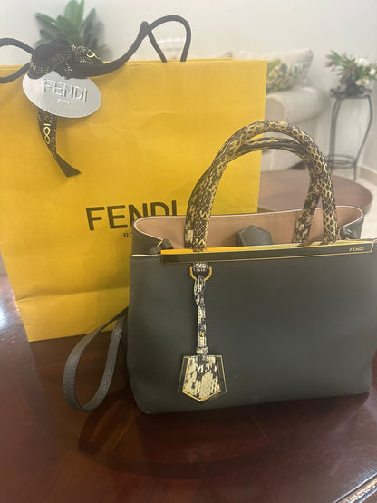Fendi Bag Used