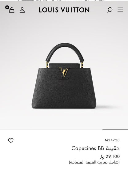 Louis Vuitton Bag