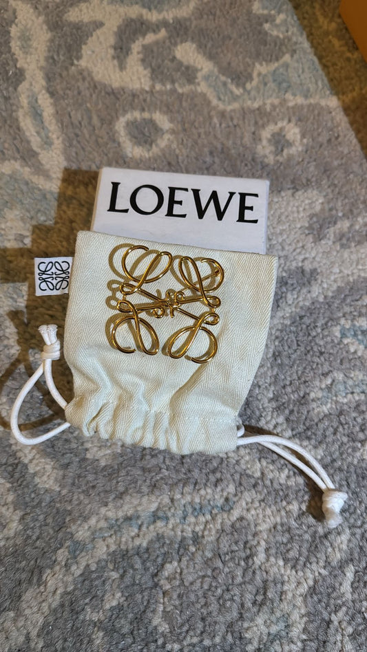 بروش لويفي | LOEWE Brooch