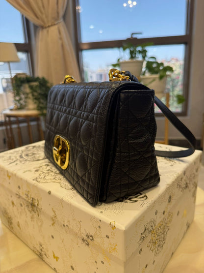 Dior Bag New