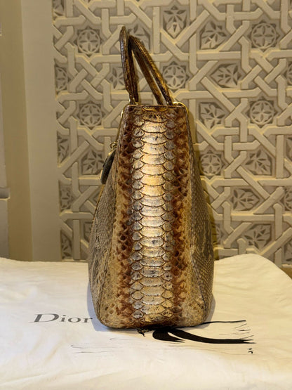 Dior Bag Python Used