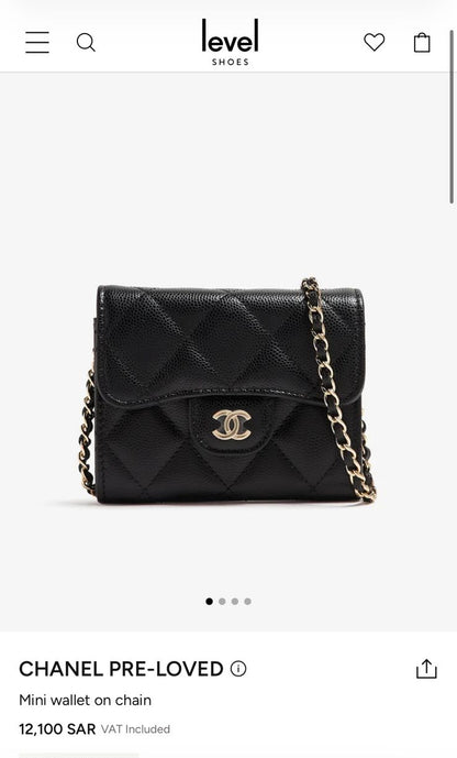 Chanel cross body  Bag New