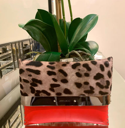 Jimmy Choo Bag Used