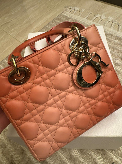 Dior Bag lightly Used