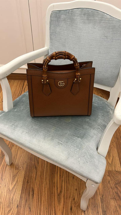 Gucci Bag Used