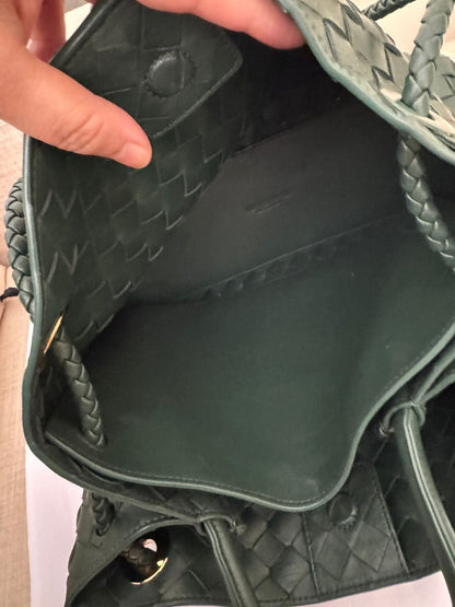 Bottega Veneta Bag Used