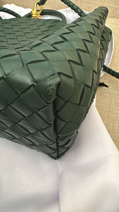 Bottega Veneta Bag Used