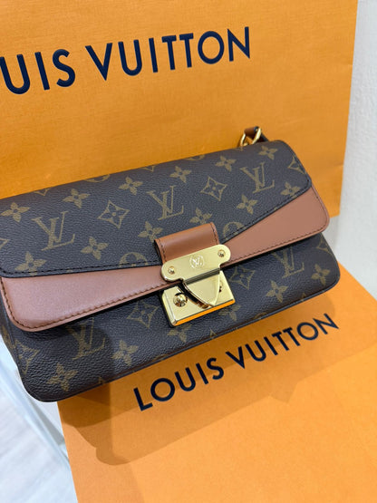 Louis Vuitton Bag Used