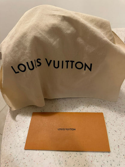Louis Vuitton Bag Used