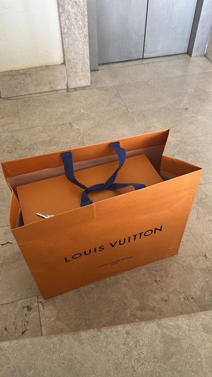 Louis Vuitton Bag Used