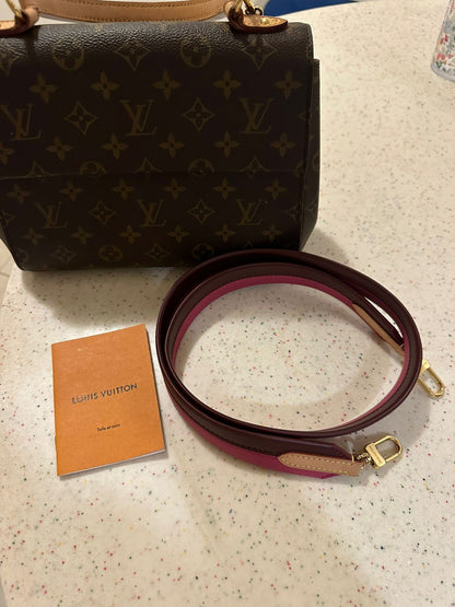 Louis Vuitton Bag Used