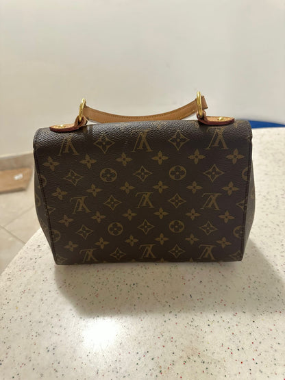 Louis Vuitton Bag Used