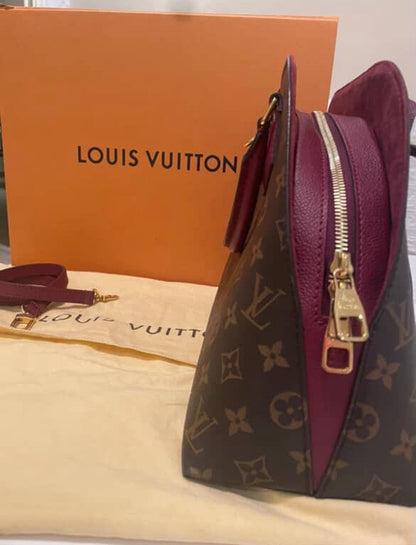 Louis Vuitton Bag Used
