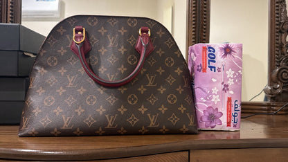 Louis Vuitton Bag Used