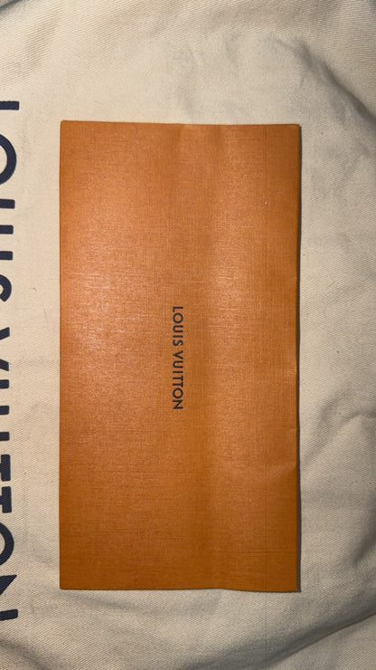 Louis Vuitton Bag New