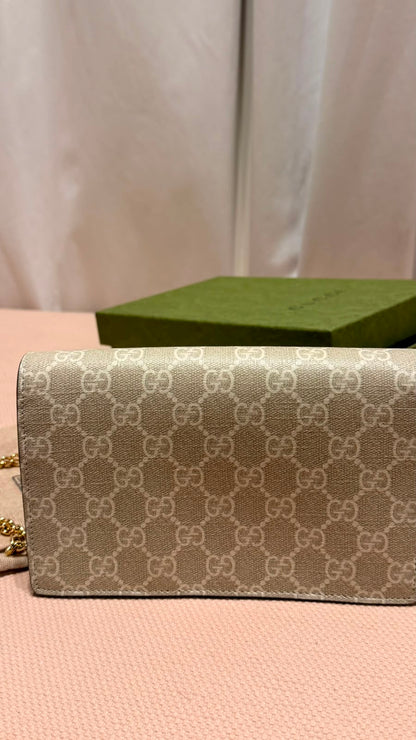 Gucci Bag Like new