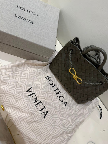 Bottega Veneta Bag Used