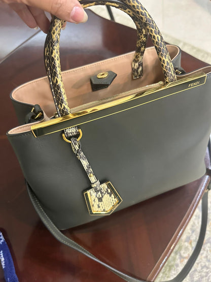 Fendi Bag Used