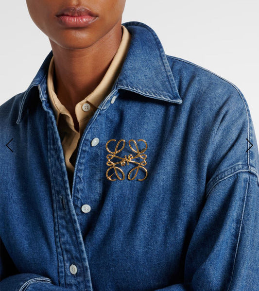 بروش لويفي جديد | LOEWE Brooch
