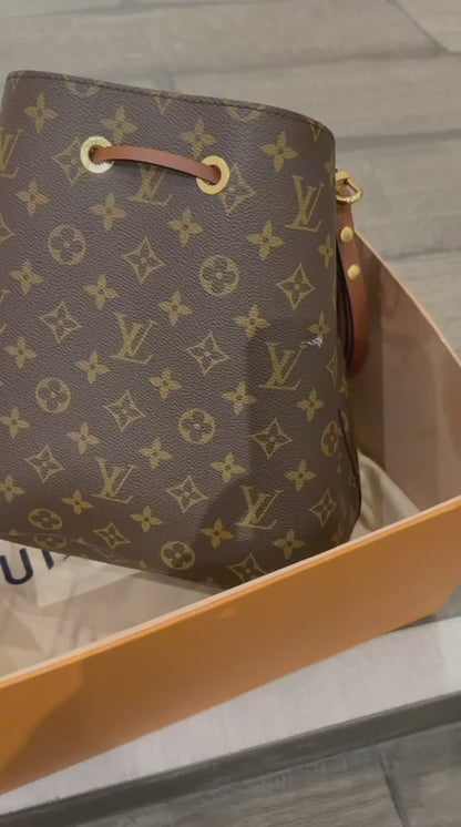 Louis Vuitton Bag & Scarf  Used