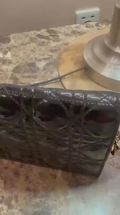 شنطة ديور | Dior Bag