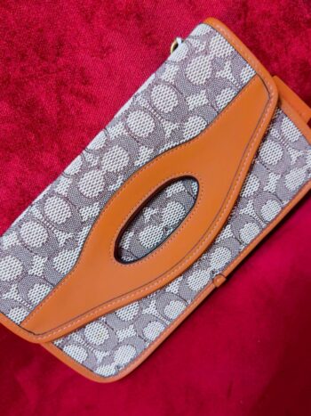 شنطة كوتش CAOCH