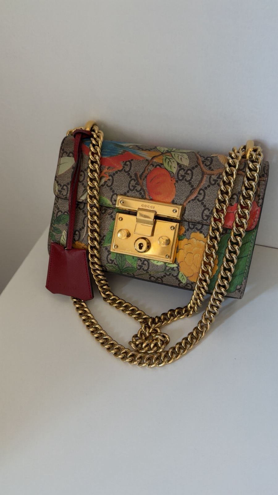 WhatsApp Image 2025-10-06 at 9.38.10 AM