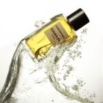 WhatsApp Image 2025-11-04 at 3.25.00 PM-2