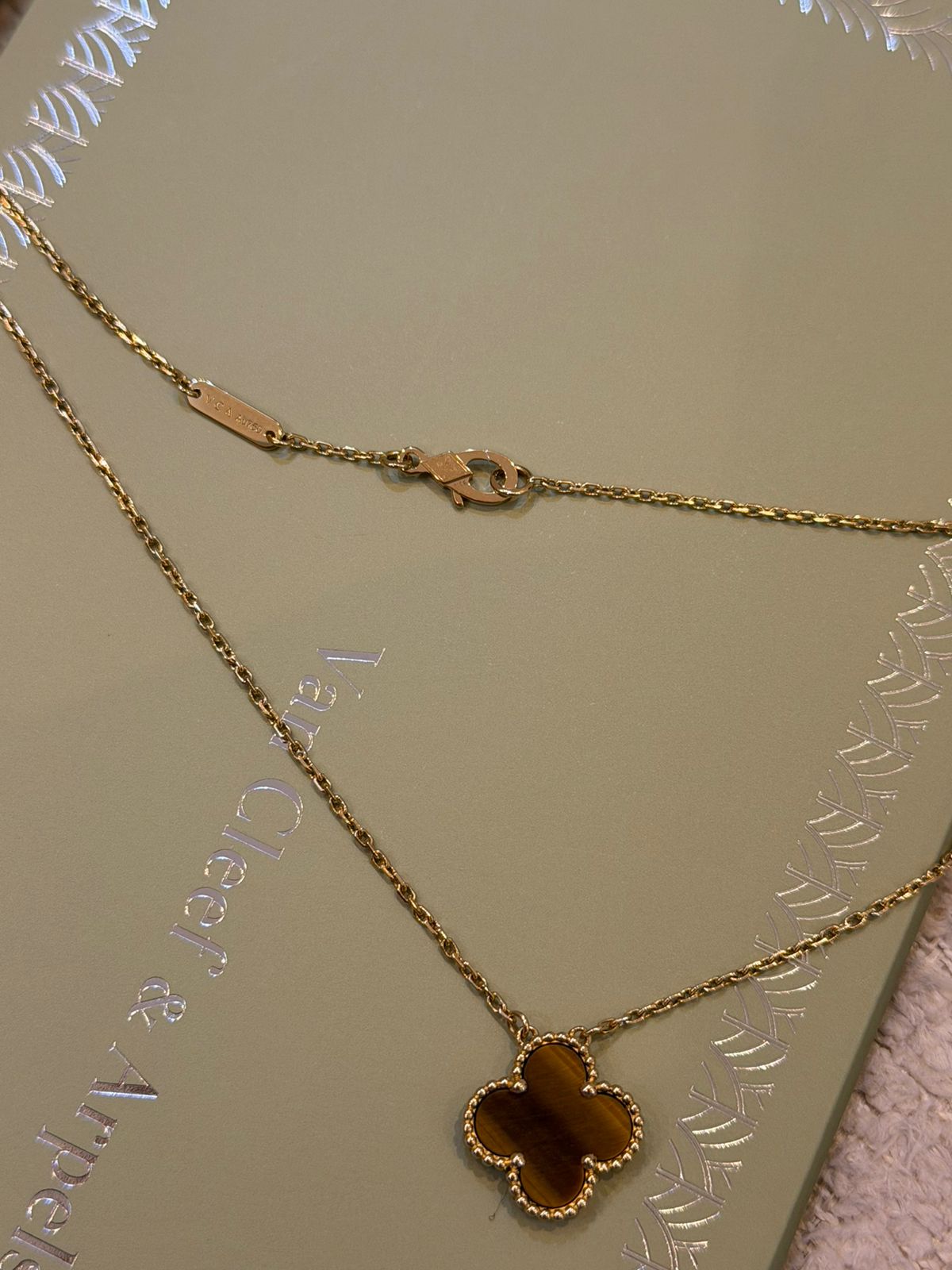 WhatsApp Image 2025-11-12 at 9.29.45 PM